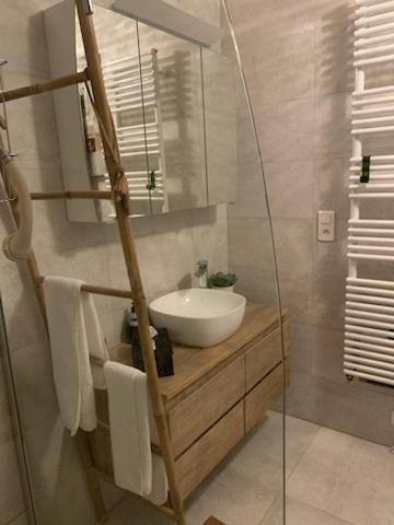 Appartamento Logement Le Bois Le Pretre Pont-à-Mousson Esterno foto